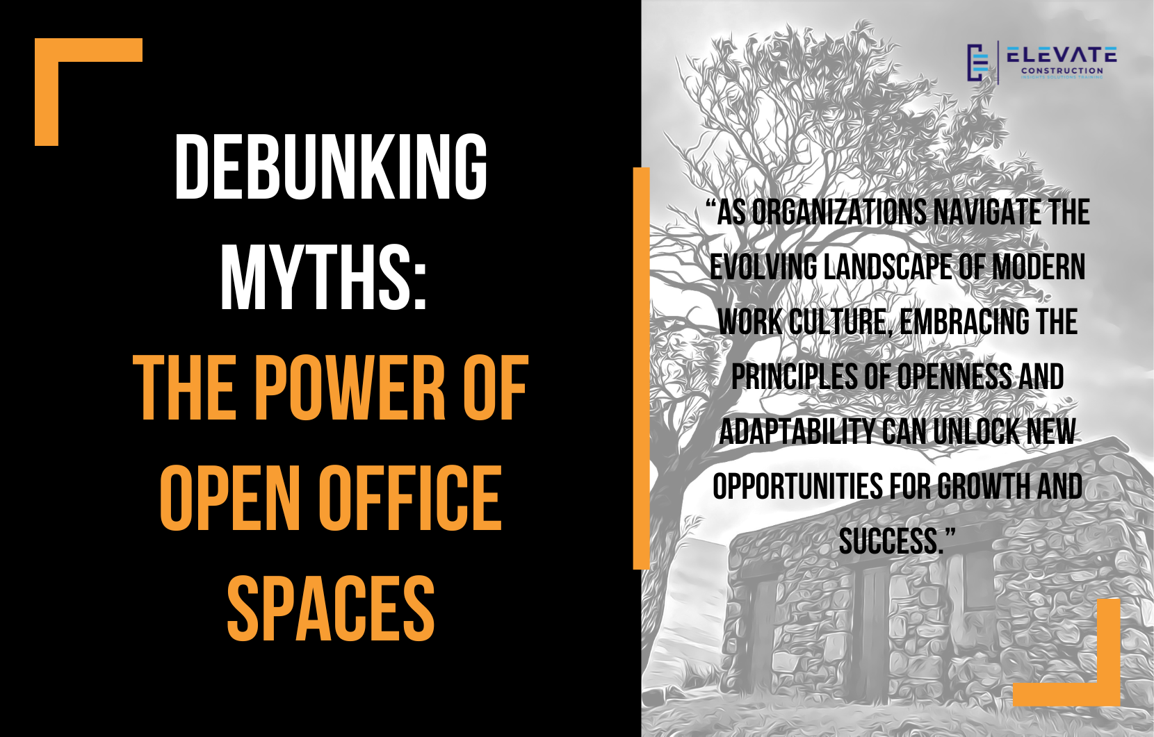 Debunking Myths: The Power of Open Office Spaces
