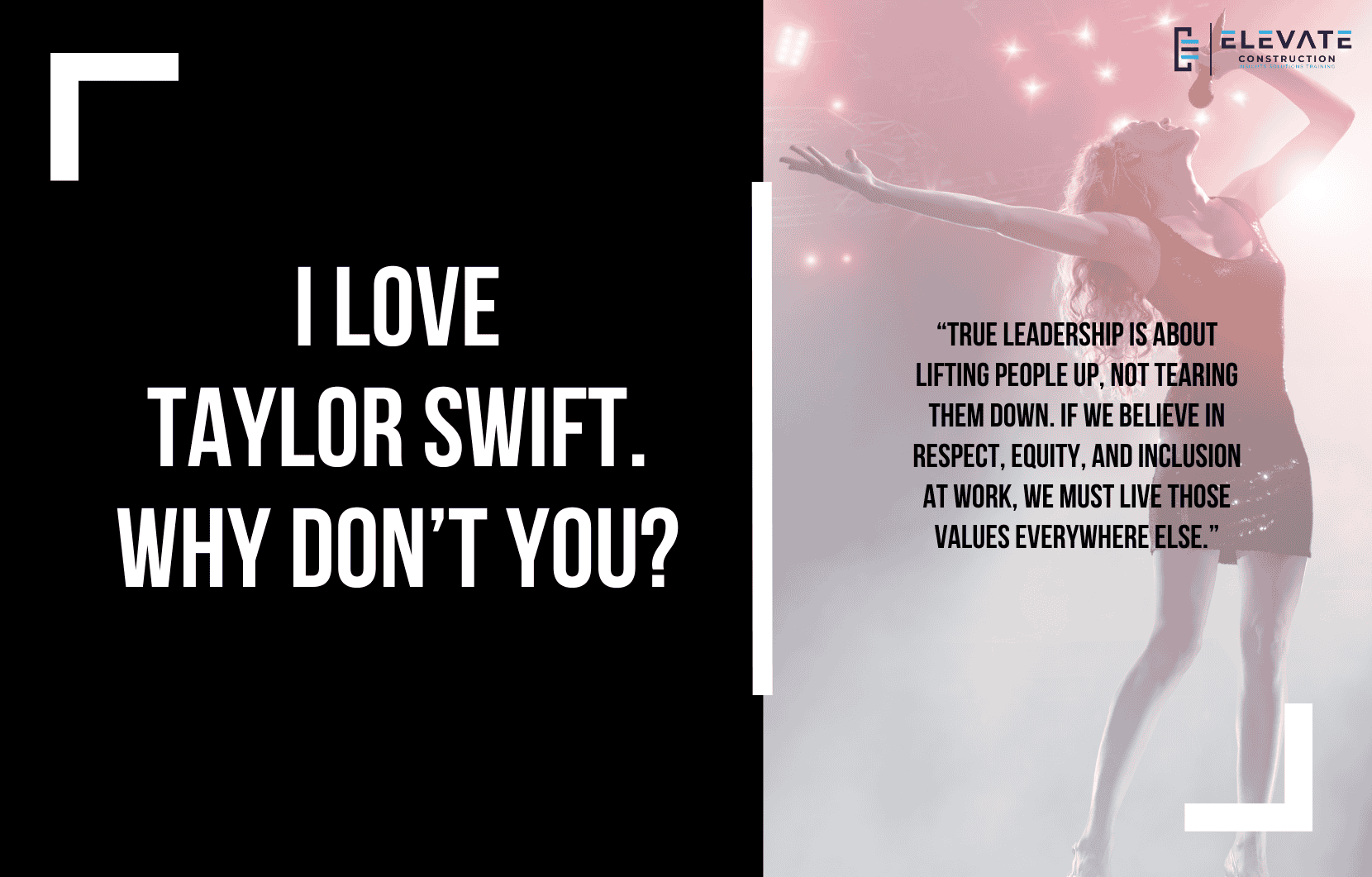 I Love Taylor Swift. Why Don’t You?